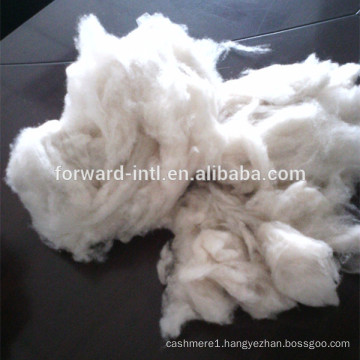 100% Dehaired raw cashmere wool white